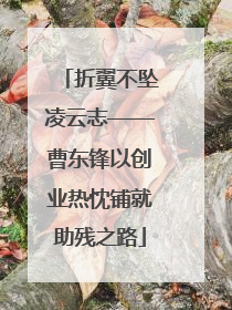 折翼不坠凌云志——曹东锋以创业热忱铺就助残之路